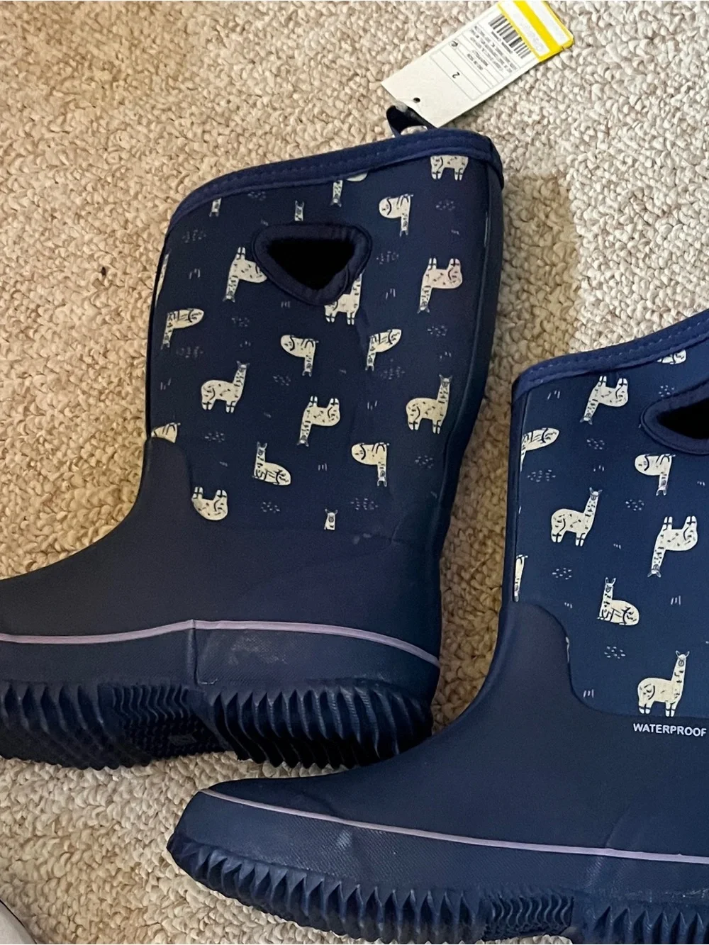 Cat&Jack Rainboots
